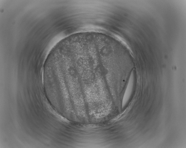 X0000065261275200603131153