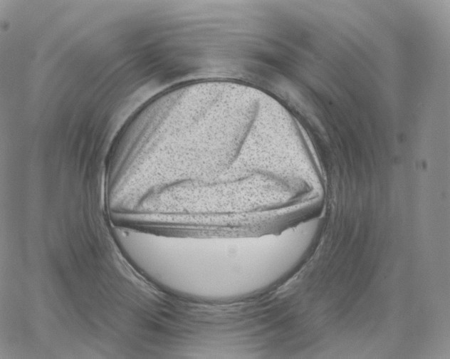 X0000065261276200603131153