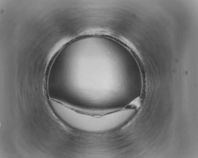 X0000065261277200603131153