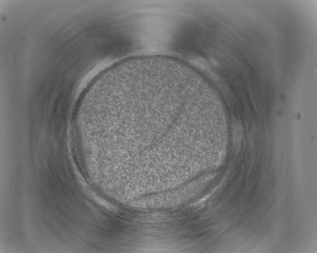 X0000065261278200603131153