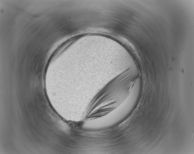 X0000065261280200603131153