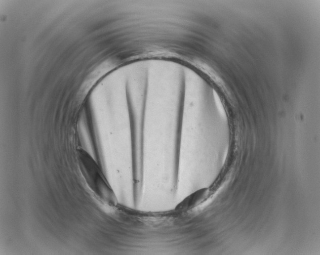 X0000065261281200603131153