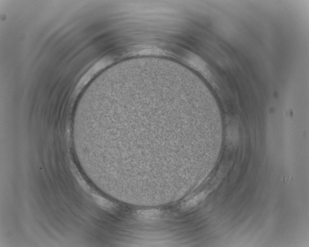 X0000065261282200603131153