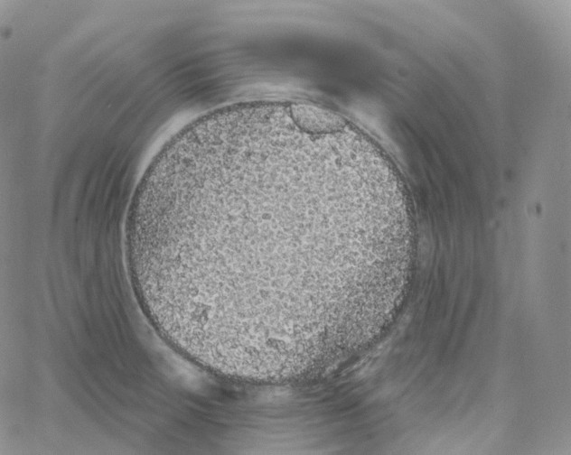 X0000065261283200603131153