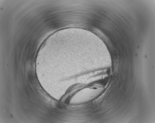 X0000065261284200603131153