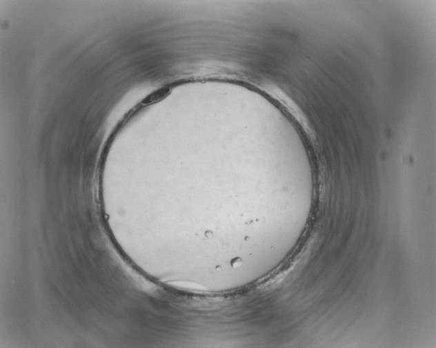 X0000065261285200603131153