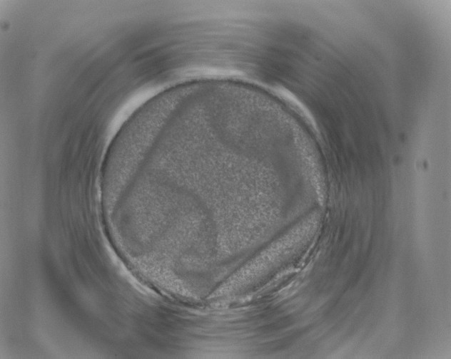 X0000065261287200603131153