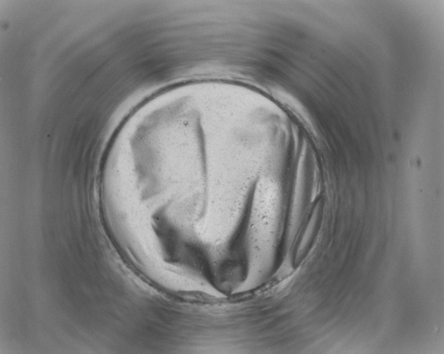 X0000065261288200603131153