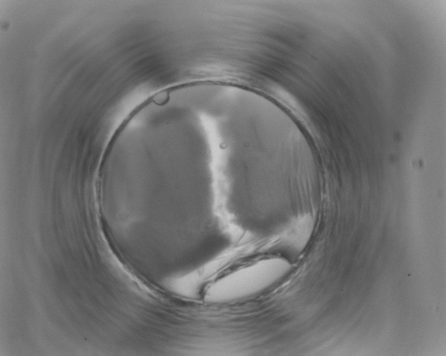 X0000065261291200603131153