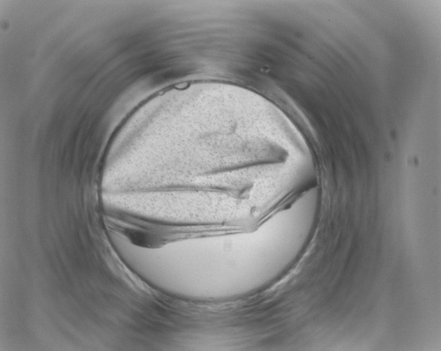 X0000065261292200603131153