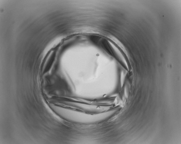 X0000065261293200603131153