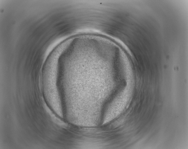 X0000065261295200603131153