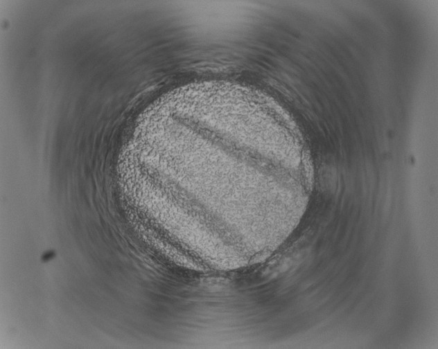 X0000065261297200603131152