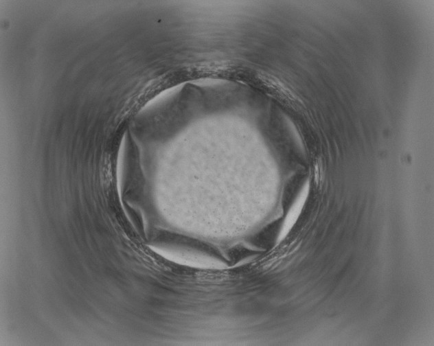 X0000065261299200603131152