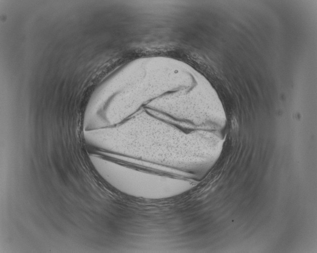 X0000065261300200603131152