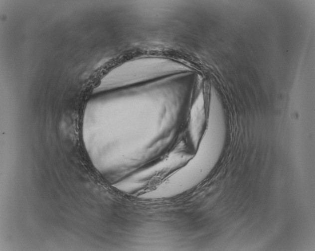 X0000065261301200603131152