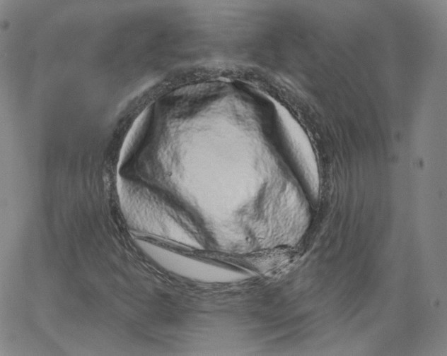 X0000065261302200603131152