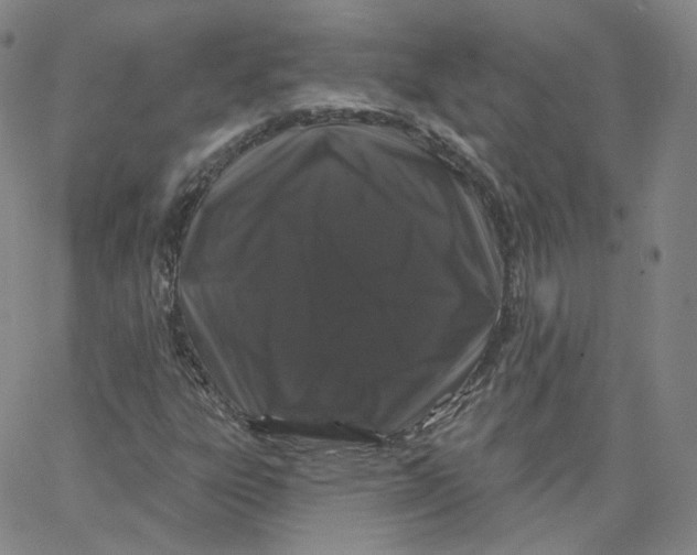 X0000065261303200603131152