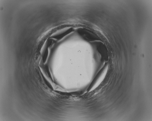 X0000065261304200603131152