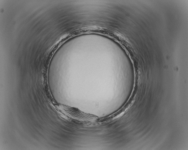 X0000065261305200603131152