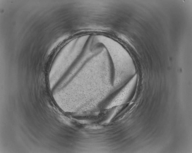 X0000065261307200603131152