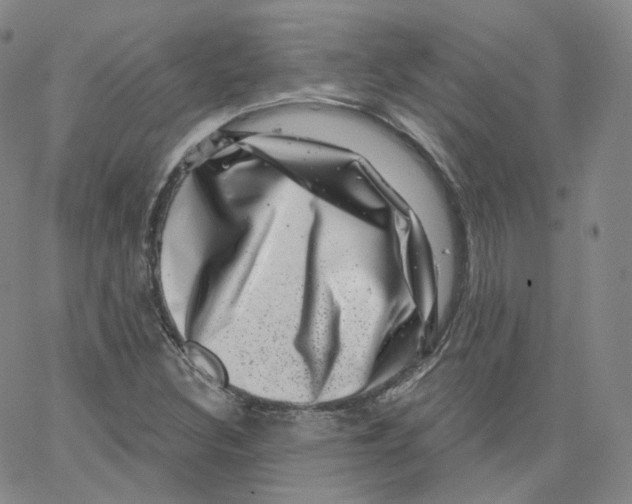 X0000065261308200603131152