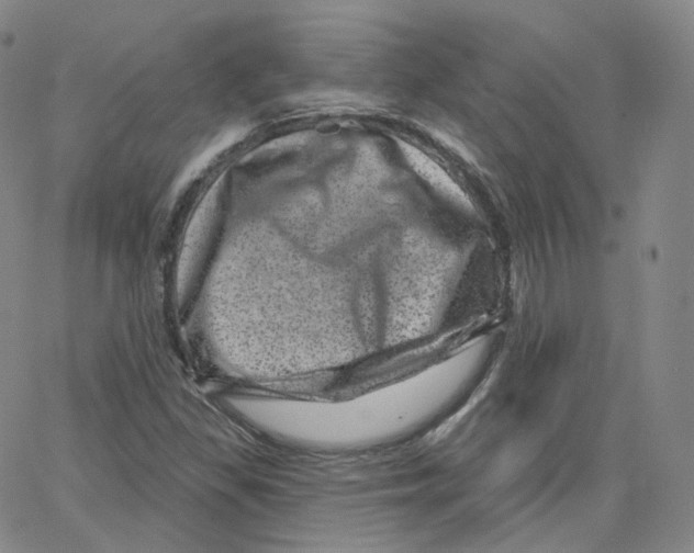 X0000065261309200603131152