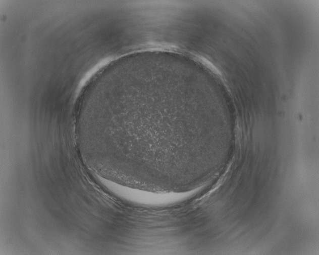 X0000065261310200603131152