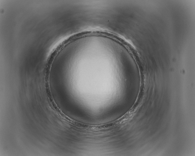 X0000065261311200603131152