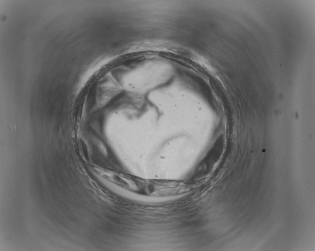 X0000065261312200603131152