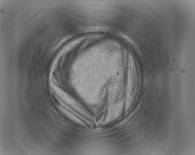 X0000065261313200603131152