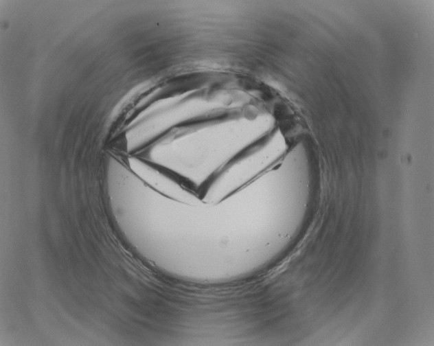 X0000065261314200603131152