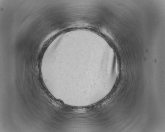 X0000065261315200603131152