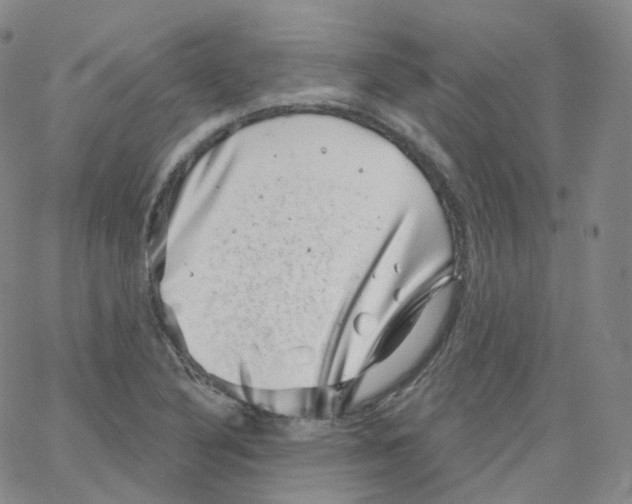 X0000065261316200603131152