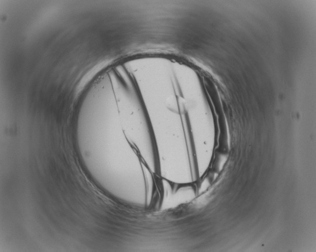 X0000065261317200603131152