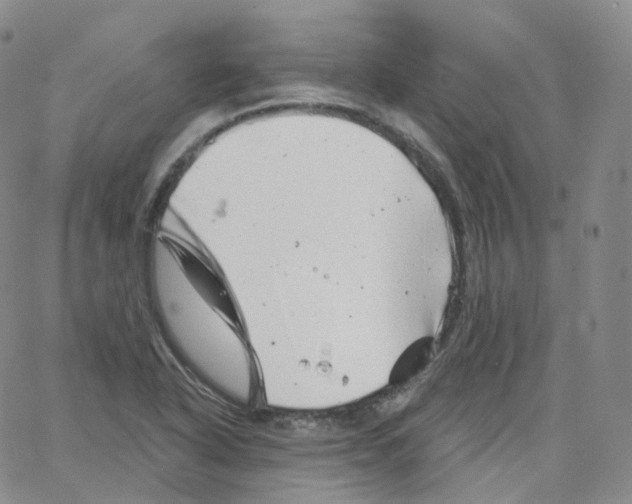 X0000065261318200603131152