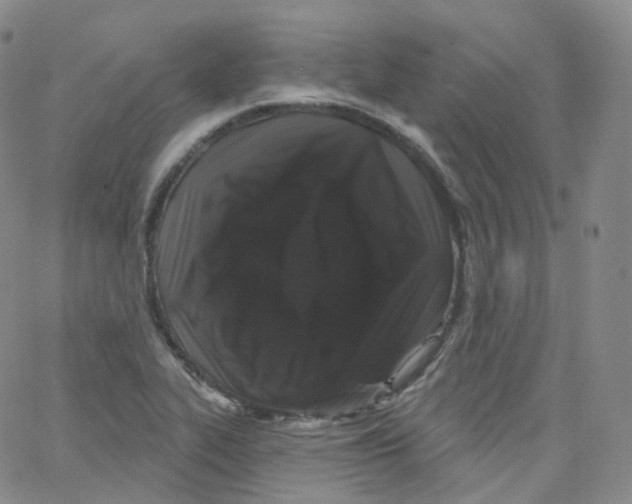 X0000065261319200603131152