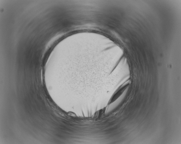 X0000065261320200603131152