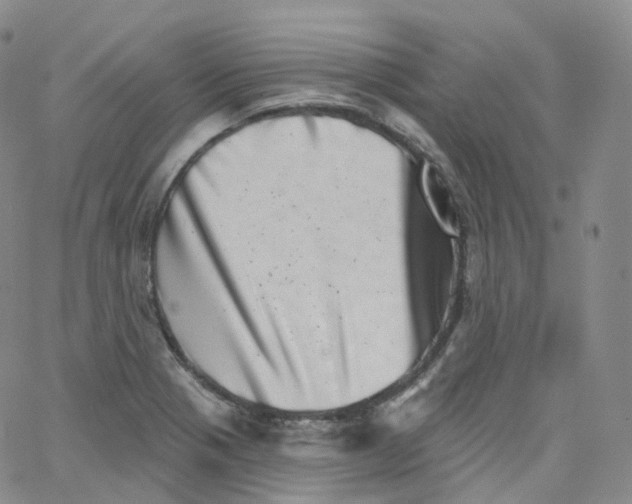 X0000065261321200603131153