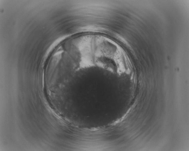 X0000065261323200603131153