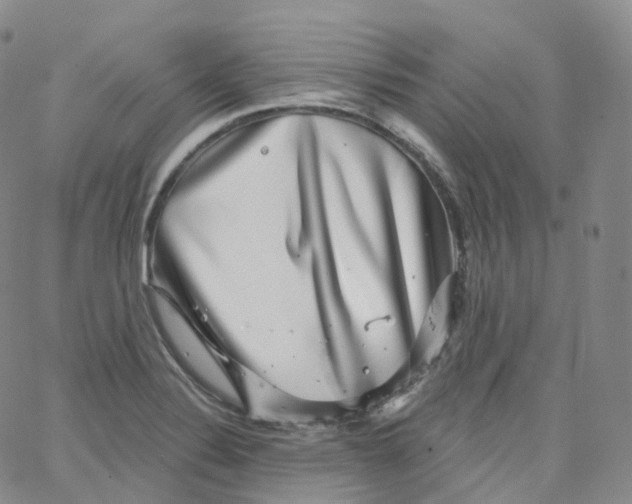 X0000065261324200603131153