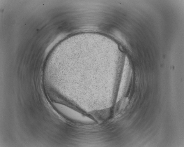 X0000065261325200603131153