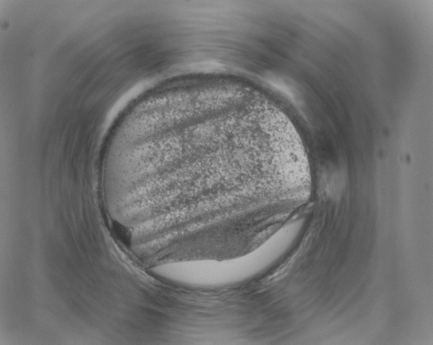 X0000065261326200603131153