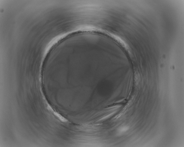 X0000065261327200603131153