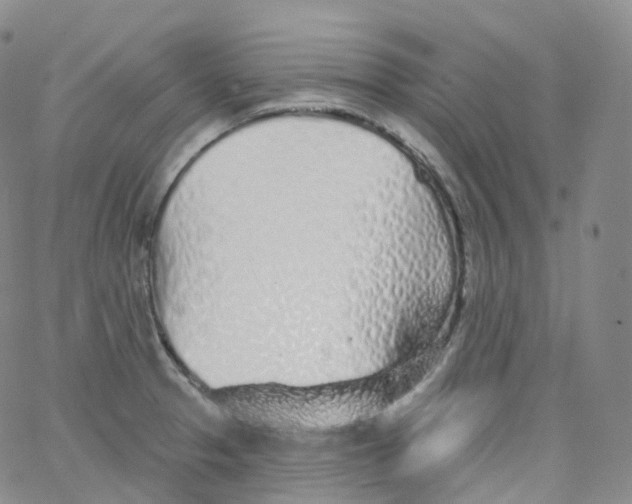 X0000065261329200603131153