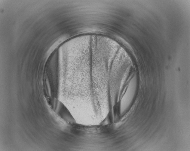 X0000065261330200603131153