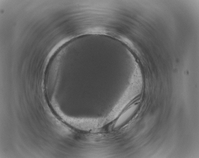 X0000065261331200603131153