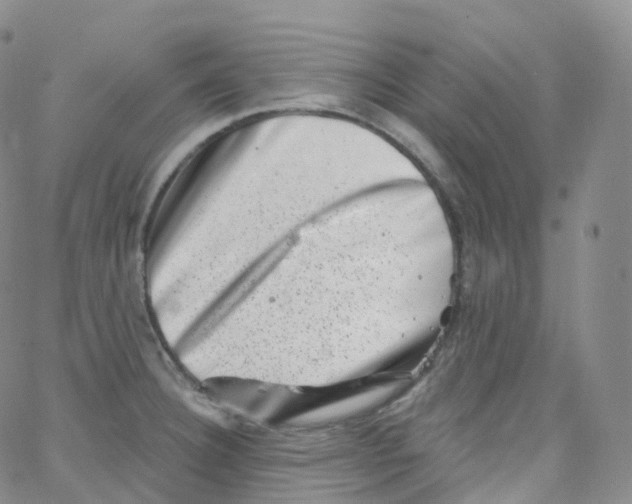 X0000065261332200603131153