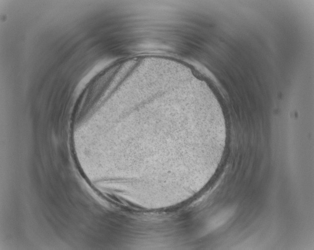 X0000065261333200603131153