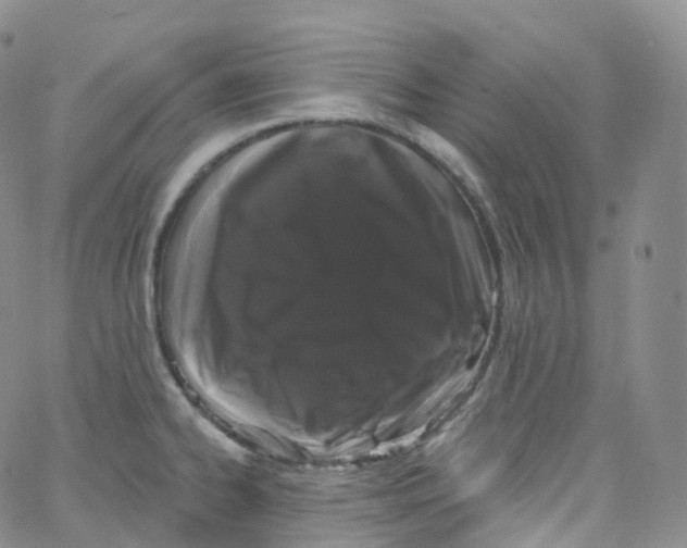 X0000065261334200603131153